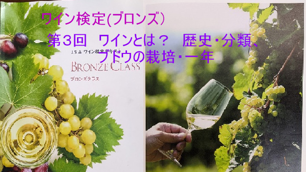 【第３回】　ワインとは？、歴史・分類、ブドウの栽培・一年